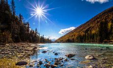 探寻詹姆斯友情的充盈内涵:一组情感深厚的句子集锦