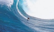 激励自我，喜迎成功：鼓舞人心的励志语录！