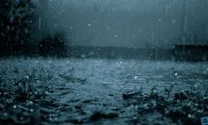 述说:哀婉感伤的句子用言语表现心境,凝聚深沉亲情之情感