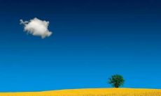 经典句子揭示人生无奈,让我们思考生命真谛