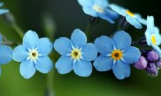 一些适合在朋友圈分享亲情的温馨句子推荐