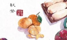 收集了丰富多彩的秋分节气朋友圈祝福语，让你在朋友圈里独树一帜，传递温暖与关怀！