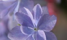 金钱胜过亲情:一个描述两者关系的长句子