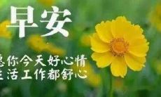 如何在清晨为朋友圈增添温馨气氛?分享适合早上发的问候语和暖心话