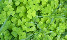 汇聚百余句励志名言，振奋人心，鼓舞前行！