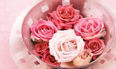 一份经典唯美浪漫的句子合集—包含表白浪漫的520句子!