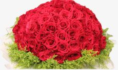 一百句表白必备,唯美浪漫的520情话大全