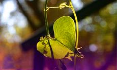 最全、最经典的2022情人节告白句子合集,获得万千情人的心!