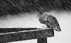 如何化挫折为资本：探索应对挫折的有效策略和技巧