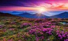 剖析分手:分手后的长篇说说