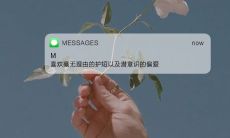 深情温暖,倾心喜欢——探寻偏爱的美丽唯美句子