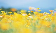 富有启迪力与竞争精神的励志名言，激励你追求卓越并超越竞争对手！