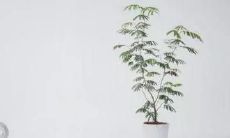 小学毕业典礼上,一句感人至深的发言引起所有人的共鸣和泪水涌动