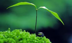 展现春日旖旎景象的迷人描述句子