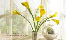 海量亲情唯美句子,令您无法自持感动落泪