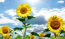 一份充满正能量的座右铭大全,为你带来积极向上的力量