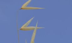 无耻夸赞女性的话语：如何用多种语言赞美女孩？