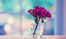 以唯美句子描写父母亲情：展现深厚感情与无尽爱意