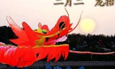 二月二,猪年春节之后的第十五天,相传有放生避灾、祈求丰收的习俗,同时也是中国传统文化中著名的赏花、踏青、祭祀等活动的日子,还是最适合给亲朋好友发红包的好时机!