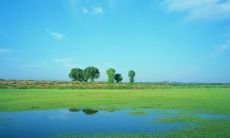 酷热难挡,夏日酷暑让人汗流浃背,烈日炎炎令人迷失在火热中的描述