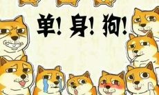 「如何在情人节这个单身狗的日子里，用巧妙的朋友圈配文自娱自乐」