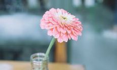 令人感动的关于家庭亲情的唯美句子,能让你深刻体会到亲情的温馨与重要性