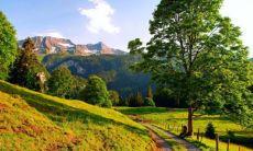 哪些队伍名称和口号具有雄浑气势?