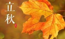 立秋时节发布朋友圈的精美唯美句子大全,用于传达秋天的美丽与浪漫情感!