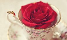 富有哲理的读书座右铭和生活启示录:包含26句智慧箴言