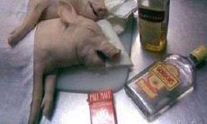 的人，每个人都有自己的独特影响力和价值，我们需要尊重并珍惜彼此的存在