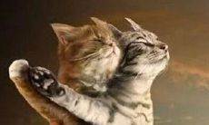 情感低落的痛苦倾诉:悲伤的心情话语