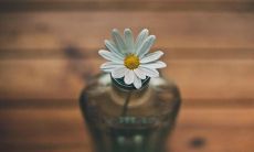 探寻家庭情感并感动心灵的经典电影或书籍句子