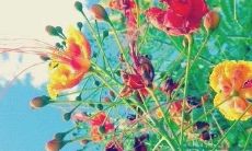 七号小组口号揭秘:笑死人不偿命的口号大集合!