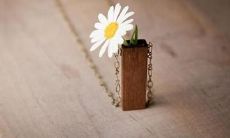 男人如何克服情人节带来的挫败感和失望之情？