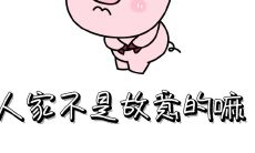 如何用句子挽回失去的爱情，让心灵重新相连