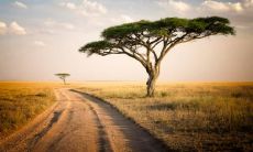 感人至深的短语,让分手对方心疼不已