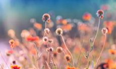 在结束恋情后,表达内心思绪的那一句话——永不言弃的分手爱情句子