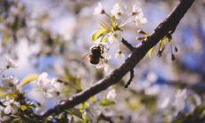 告别四月,迎来五月——欢迎新月上弦的到来