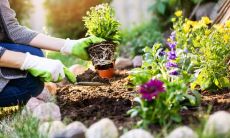 五月来临:告别四月,迎接唯美短句和句子的五月之旅