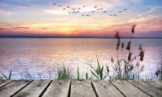 如何用感人的话语挽回失去的恋情,让女友重燃爱意:情话大全!