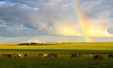 当大雨过去，云彩消散，天空又重新变得明亮而又清新的美妙时刻：雨过天晴