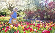 告别四月,迎来五月的新篇章:预祝五月快乐!