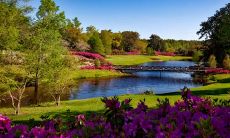 十种用于迎接五月的欢迎句子，让你喜迎这个美好的月份！