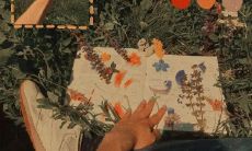 收集整理：12月最适合作为朋友圈发的祝福句子和心情分享