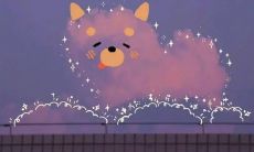 独具特色的土味情话：令人心动的浪漫爱情句子