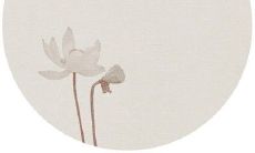 以友情为主角的瑰丽句子,透射出破裂的伤感与唯美!