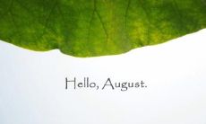 15句精选朋友圈说说摘录，迎接充满惊喜的八月旅程！