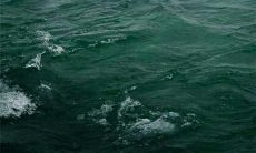 不断进取、追求卓越、勇攀高峰的座右铭，彰显向上精神