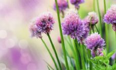 32句有关分手快乐的说说,让你越过失落,进入自我发现和成长之旅