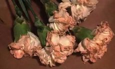 非涉爱主题的高质量文案创作技巧